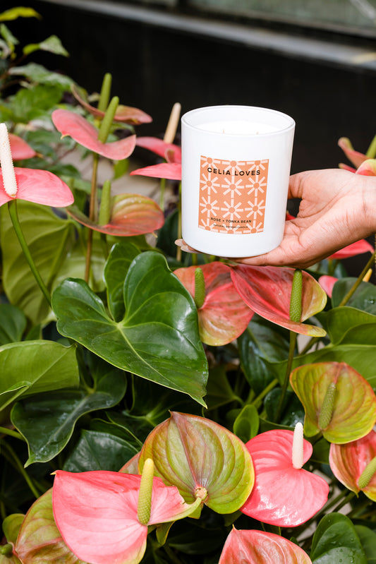 Celia Loves 80hrs Rose & Tonka Bean