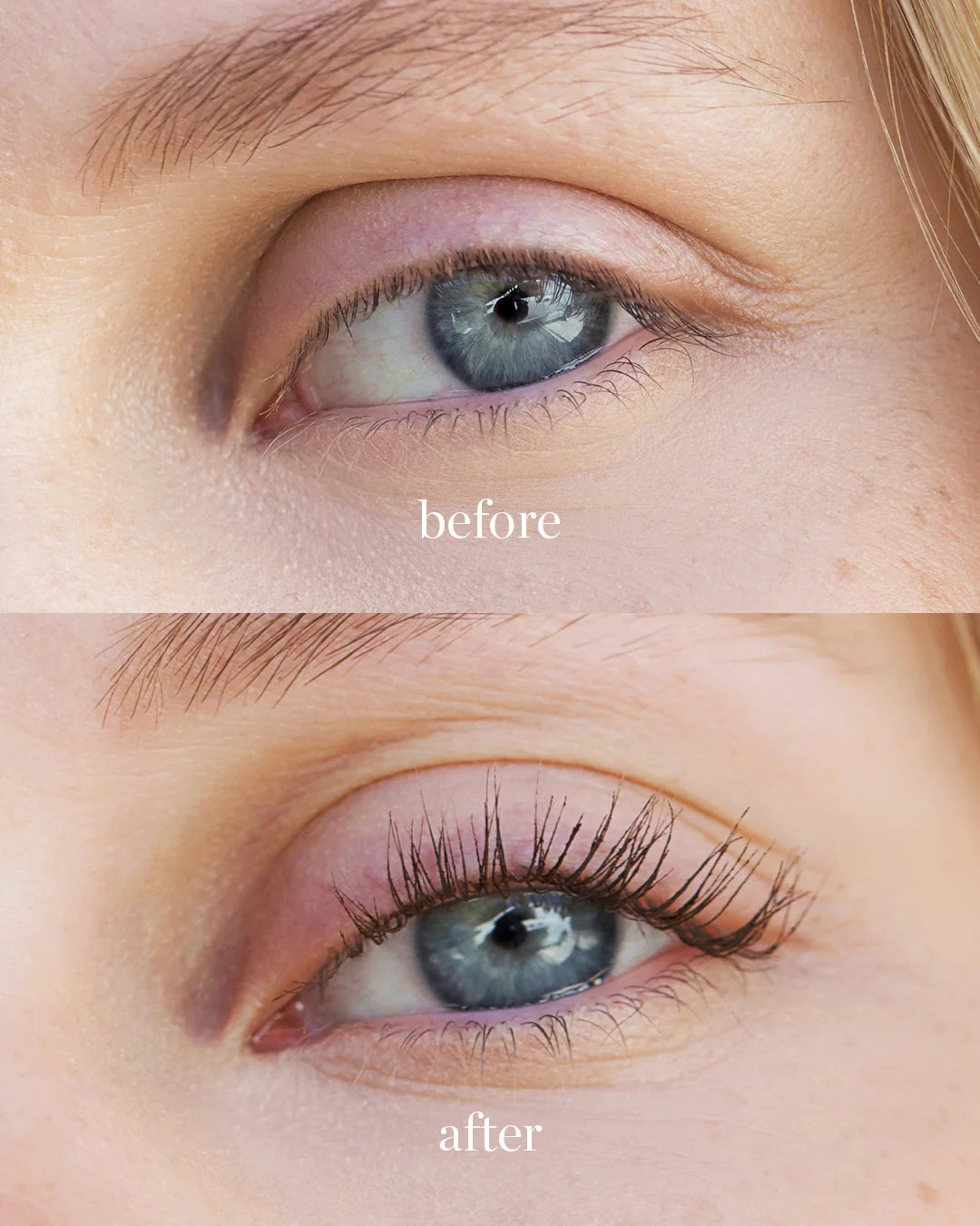 Ere Perez Avocado Waterproof Mascara - Brown