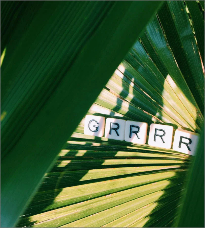 Maison Matine Into the Wild